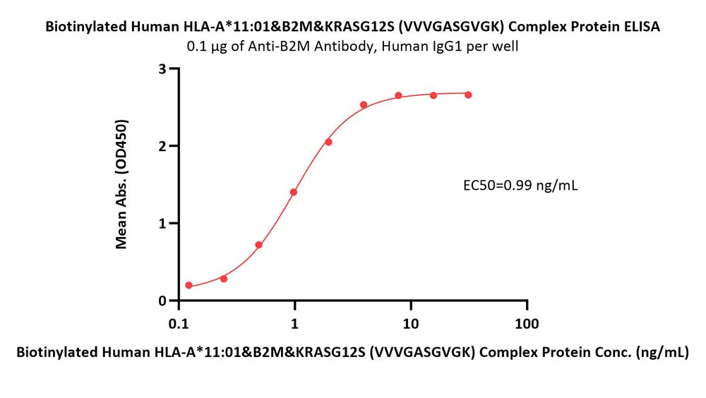 HLA-A*1101 & B2M & KRASG12S (VVVGASGVGK) ELISA