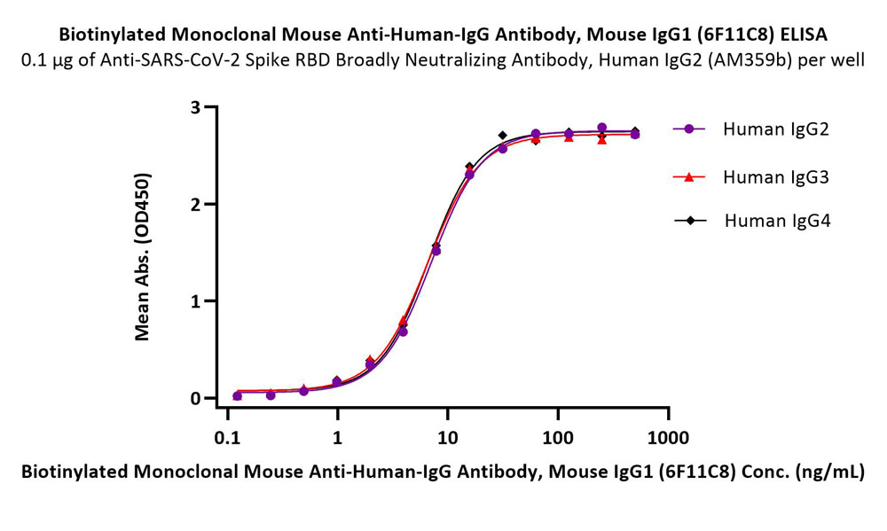 IgG ELISA