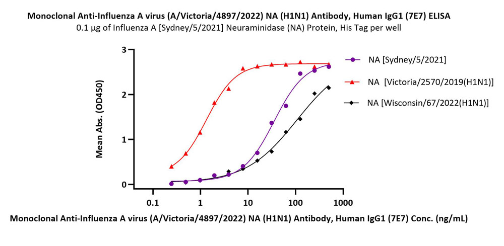 Neuraminidase/NA (Influenza Virus) ELISA