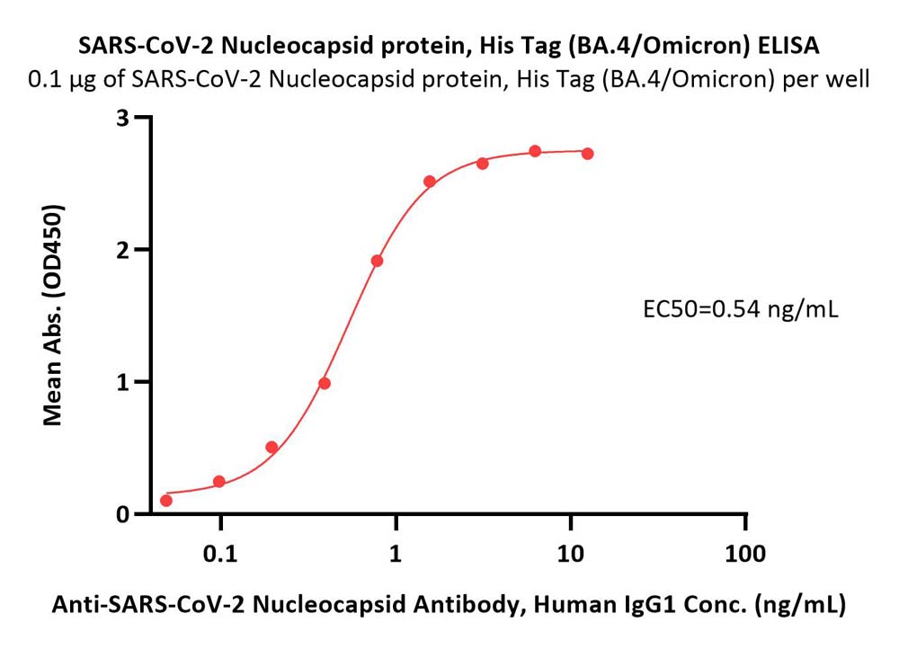 Nucleocapsid protein ELISA