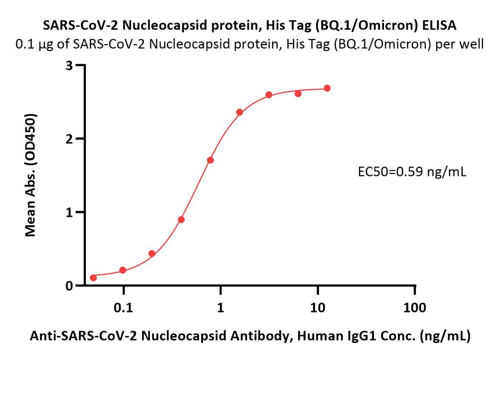 Nucleocapsid protein ELISA