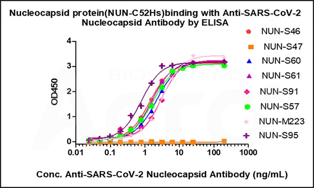 Nucleocapsid protein ELISA