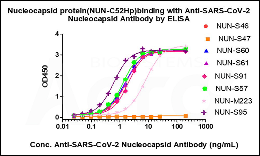 Nucleocapsid protein ELISA