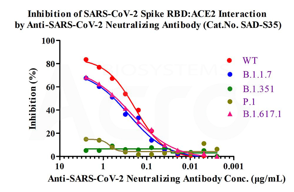 Spike RBD ELISA