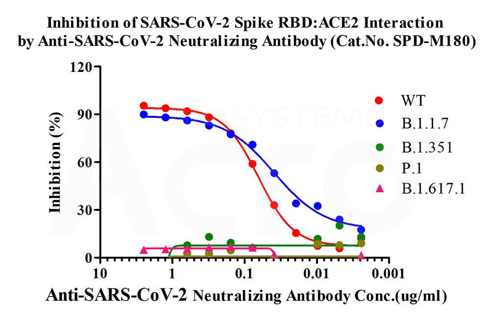 Spike RBD ELISA