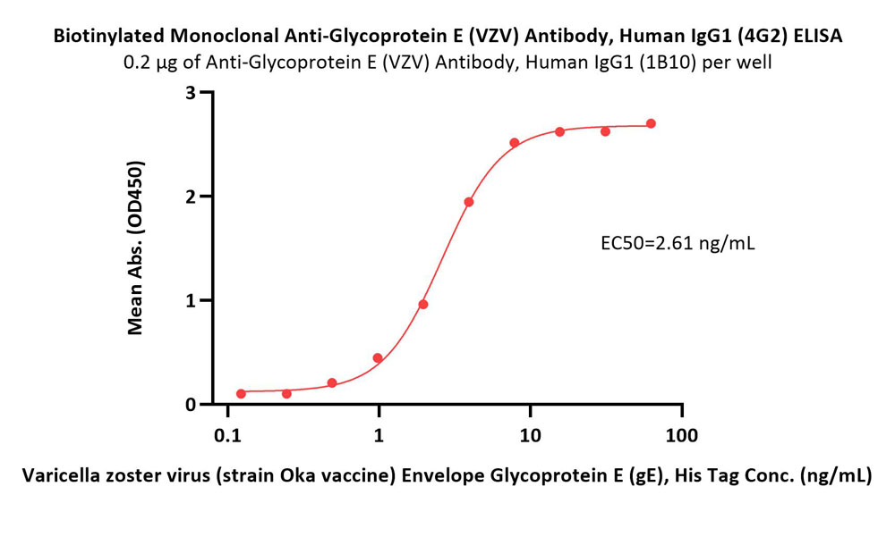 Glycoprotein E/gE (VZV) ELISA