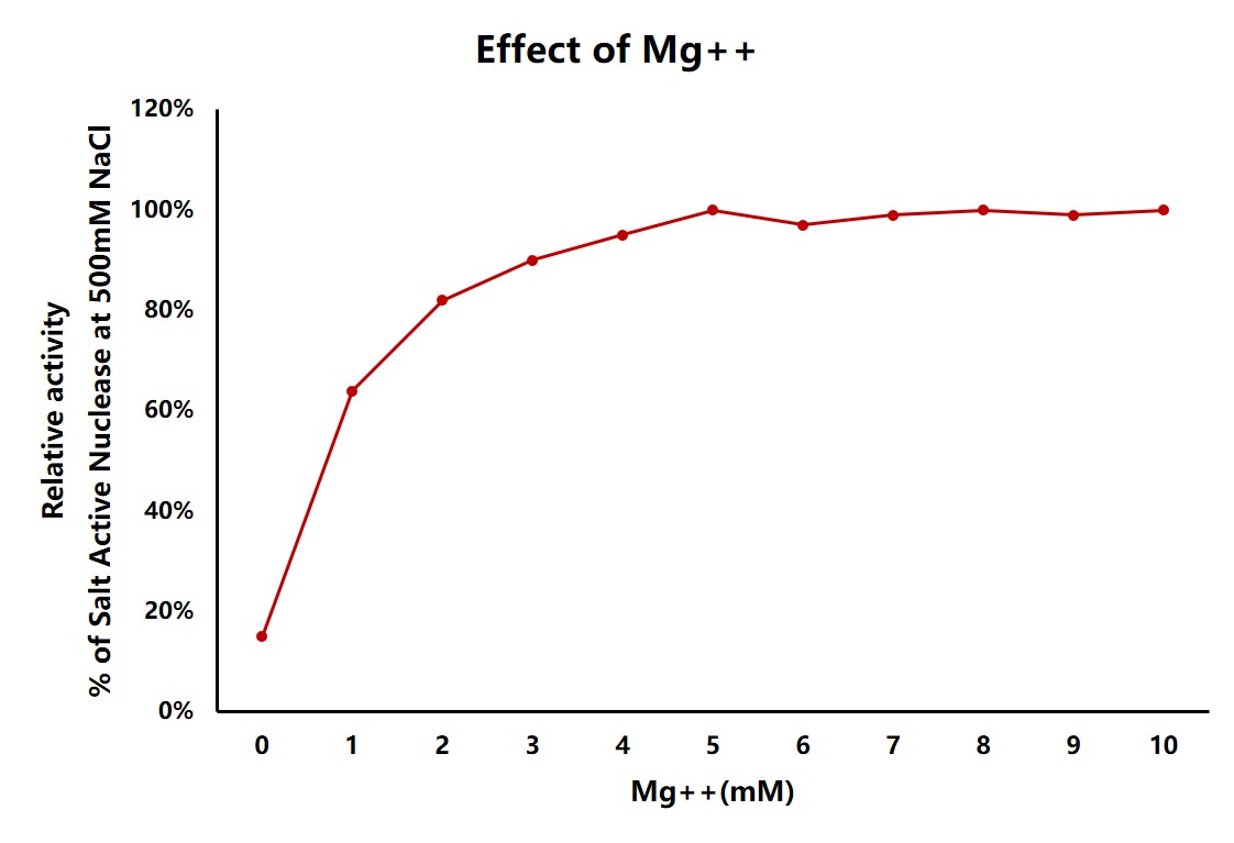 Nuclease ENZYME