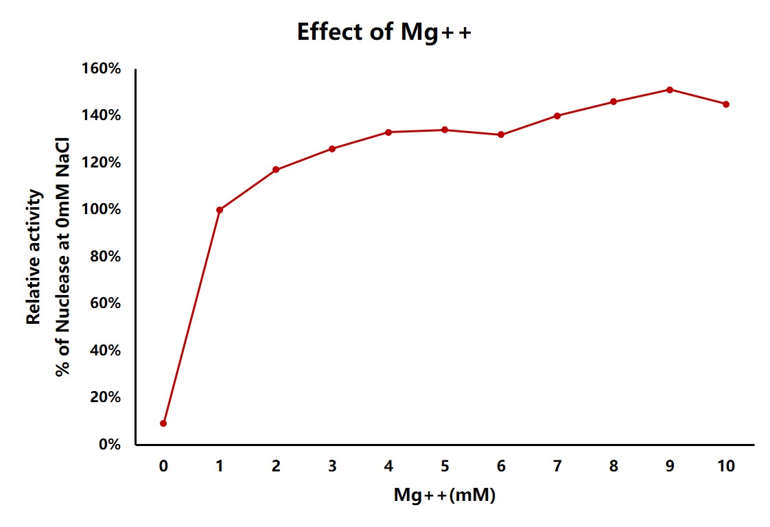 Nuclease ENZYME