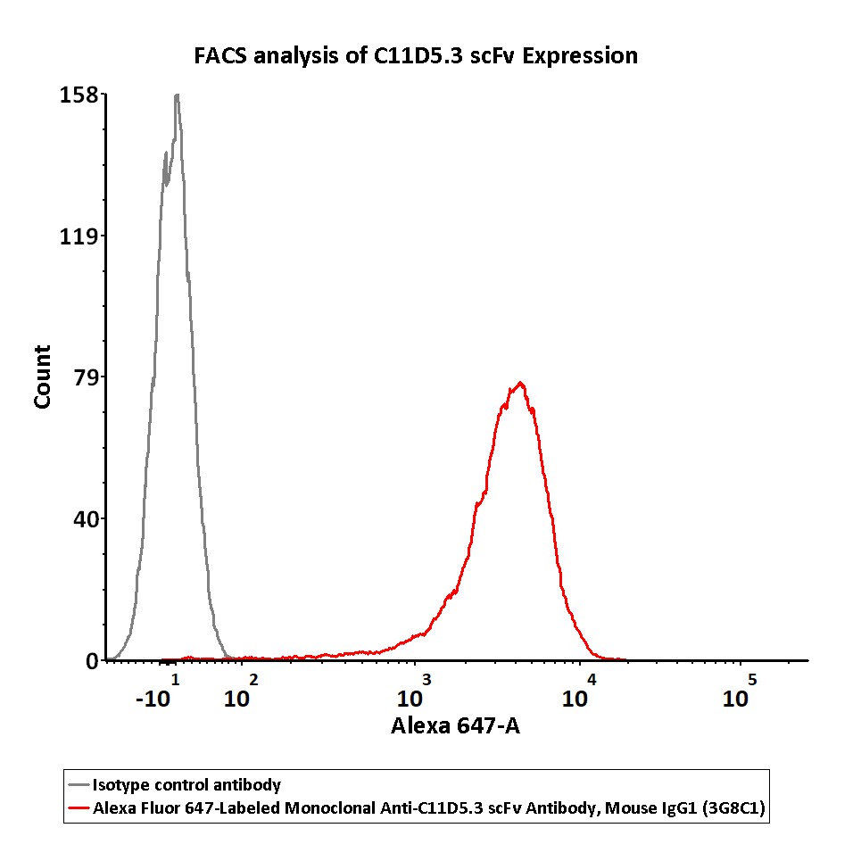 C11D5.3 scFv FACS