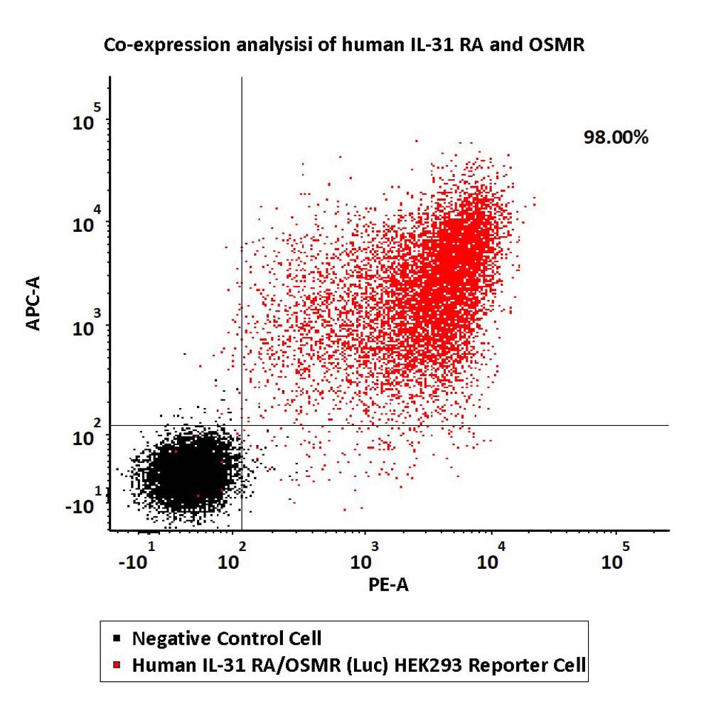IL-31 RA / OSMR FACS