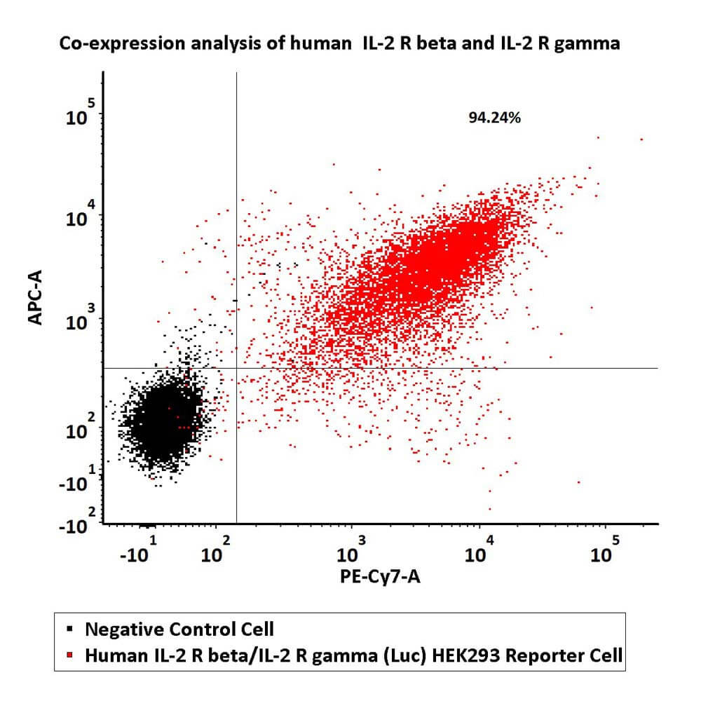 IL-2 R beta & IL-2 R gamma FACS