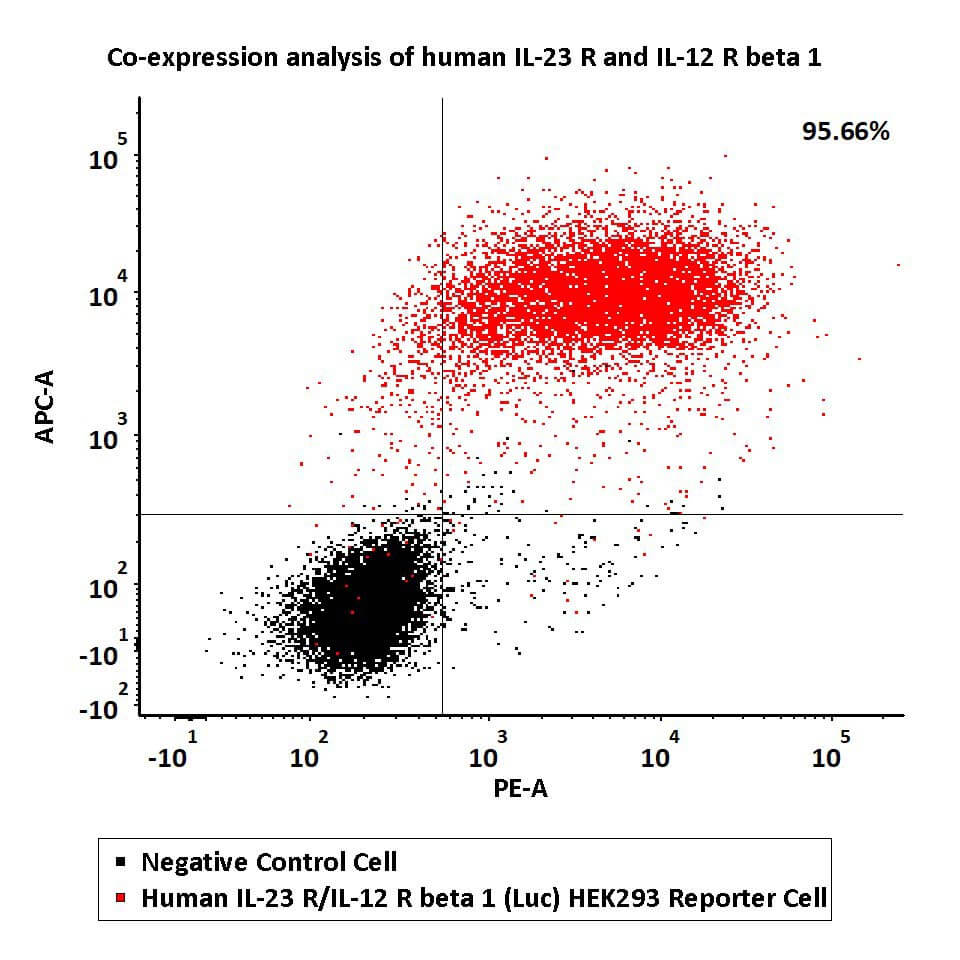 IL-23 R/IL-12 R beta 1 FACS