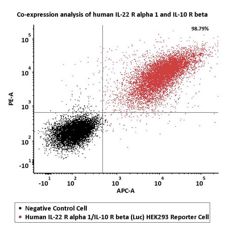 IL-22 R alpha 1/IL-10 R beta FACS