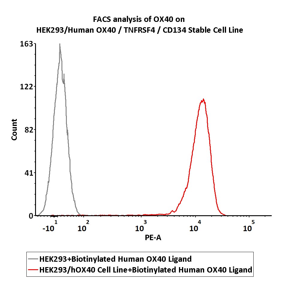 OX40 FACS