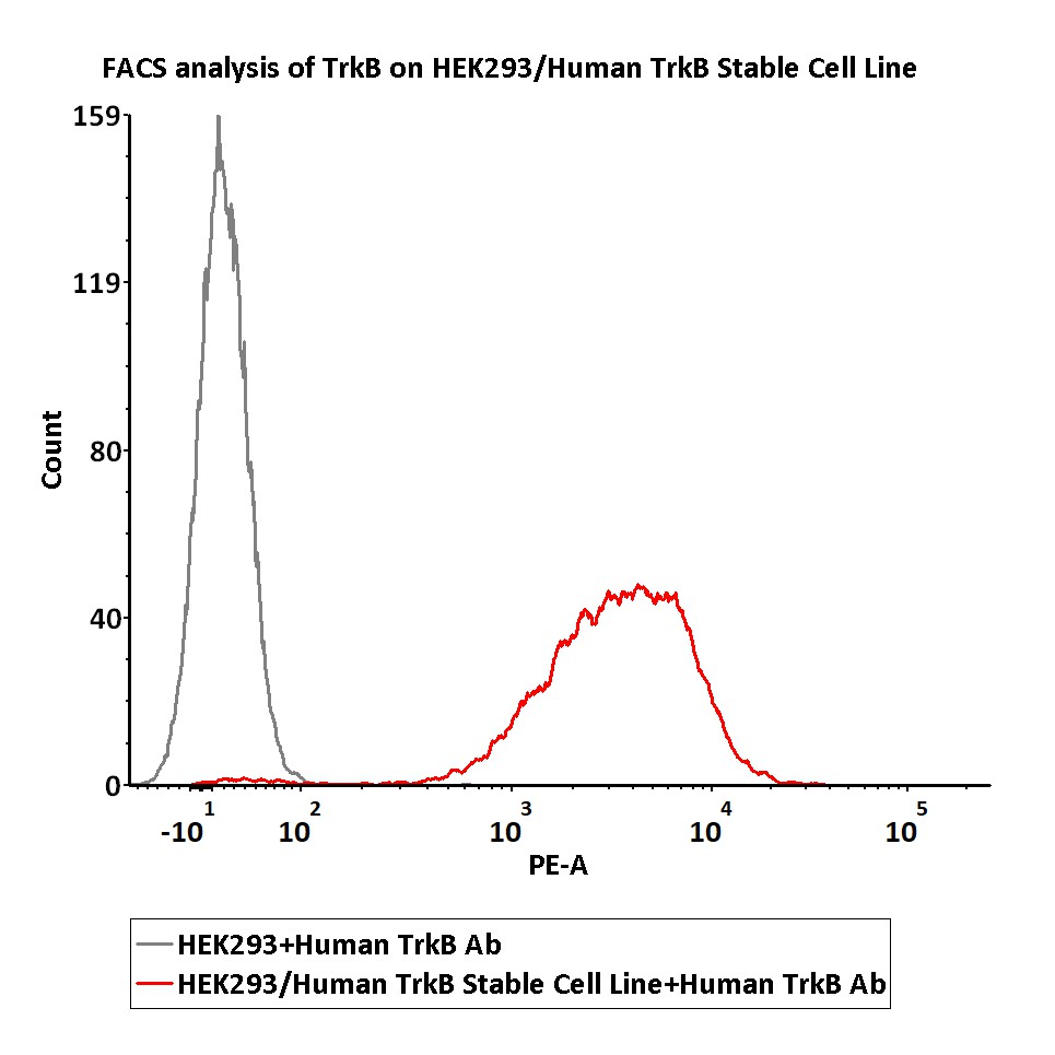 TrkB FACS