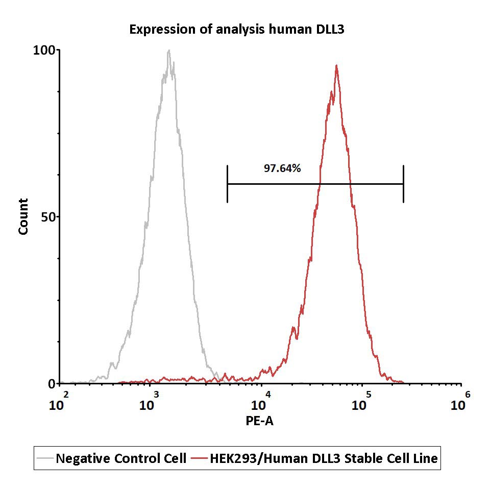 DLL3 FACS