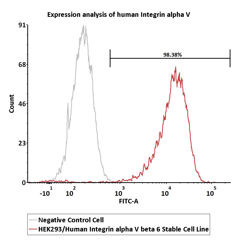 Integrin alpha V beta 6 FACS