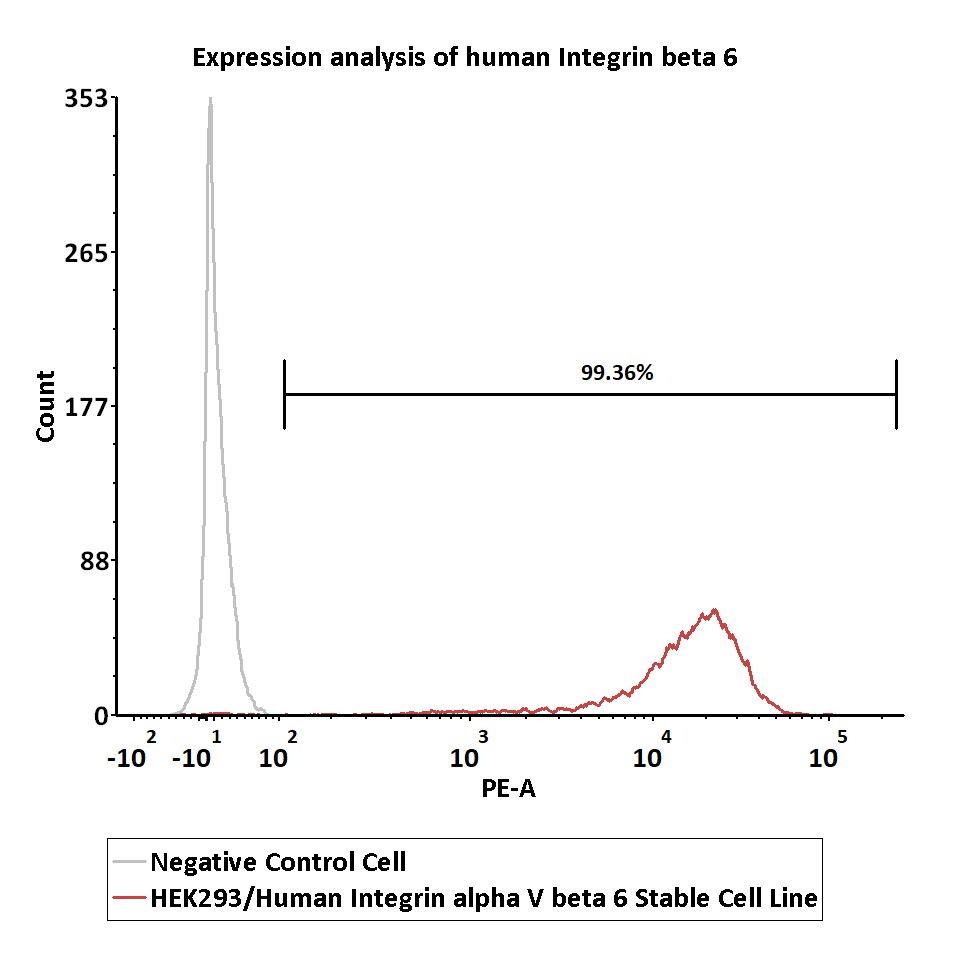 Integrin alpha V beta 6 FACS