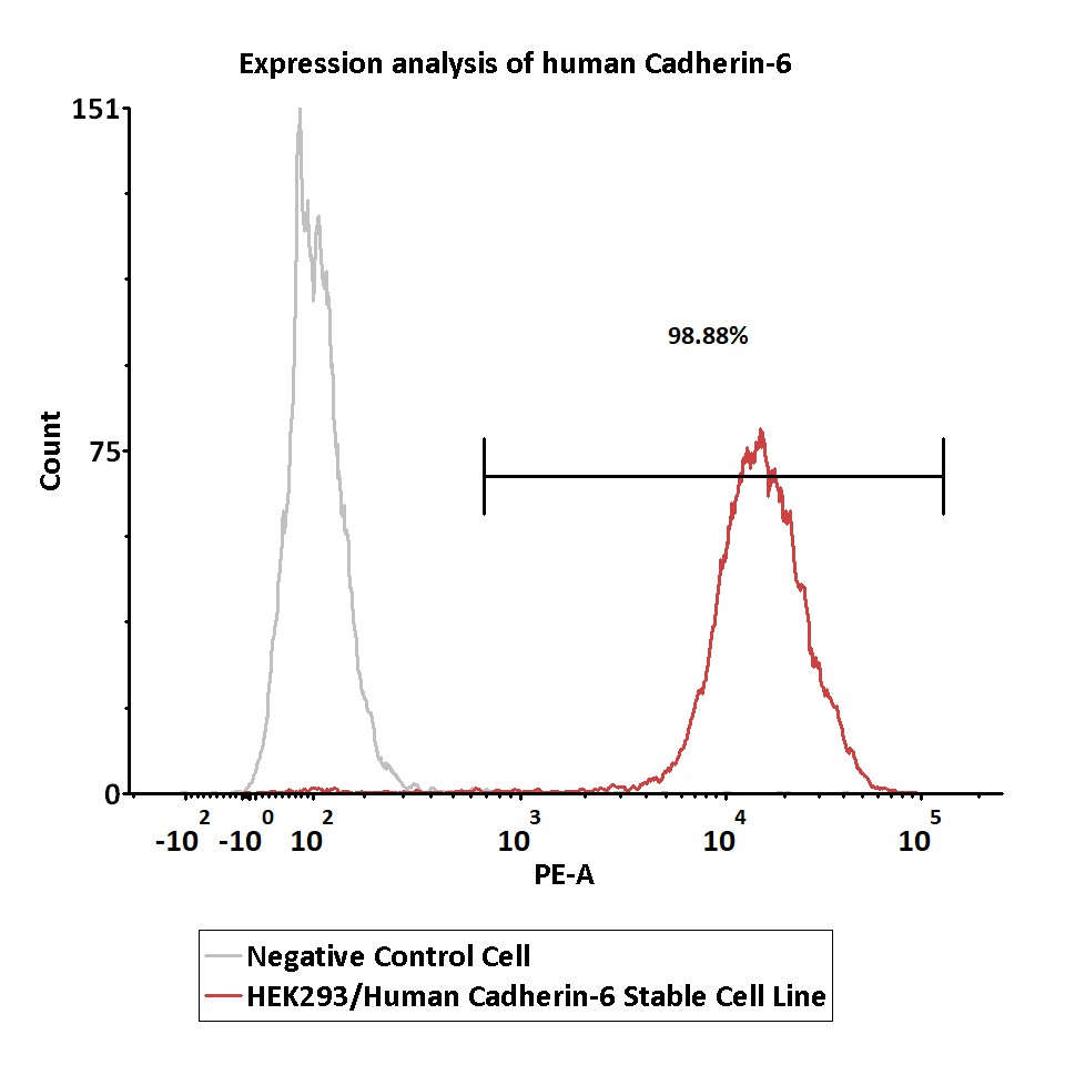 Cadherin-6 FACS