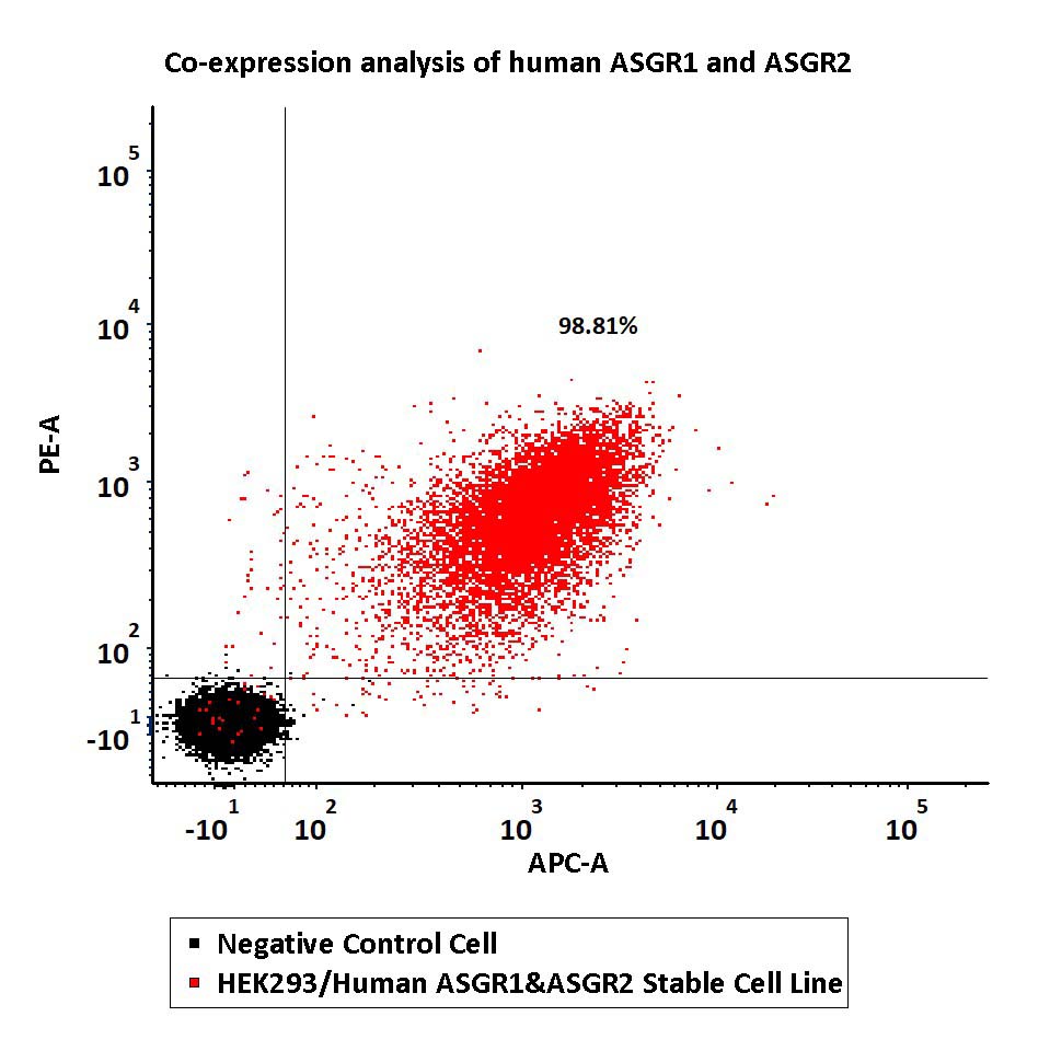 ASGR1&ASGR2 FACS