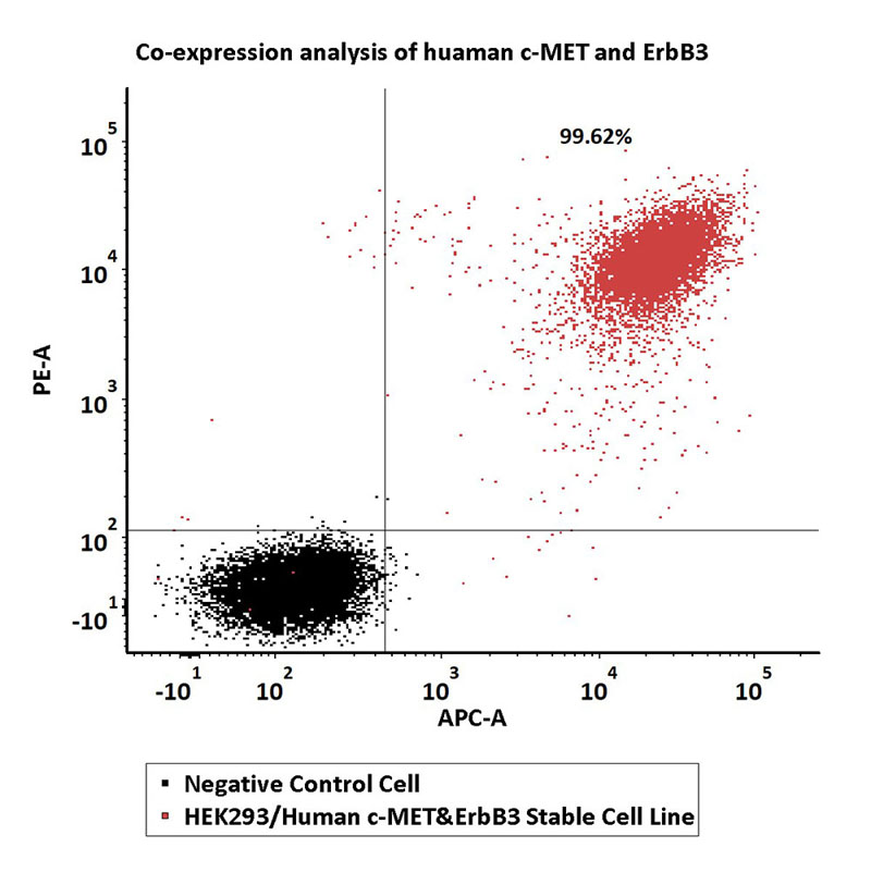 c-MET&ErbB3 FACS