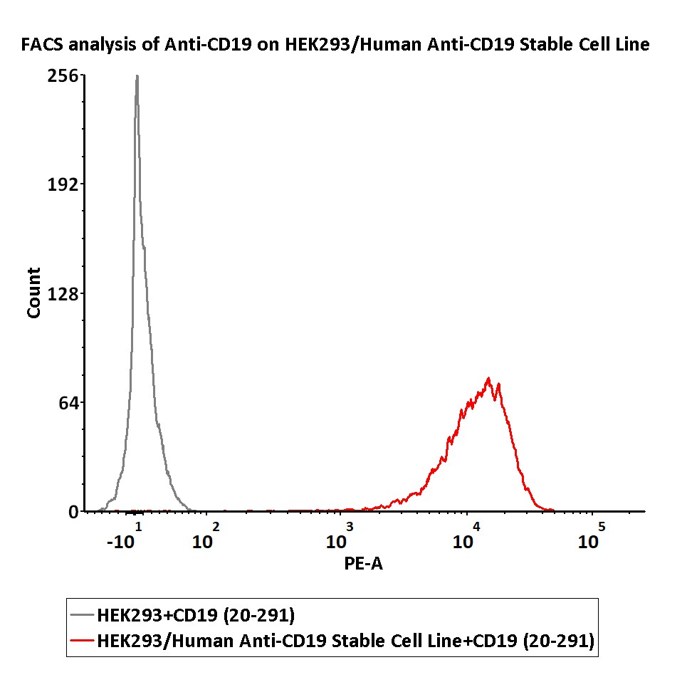 CD19 FACS