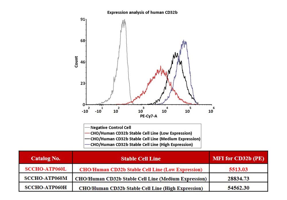 4-1BB & CD32b FACS