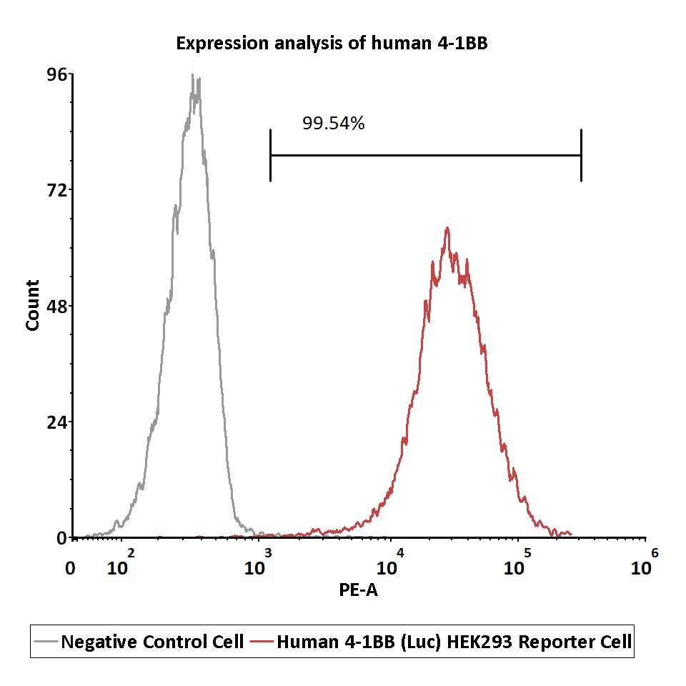 4-1BB & CD32b FACS