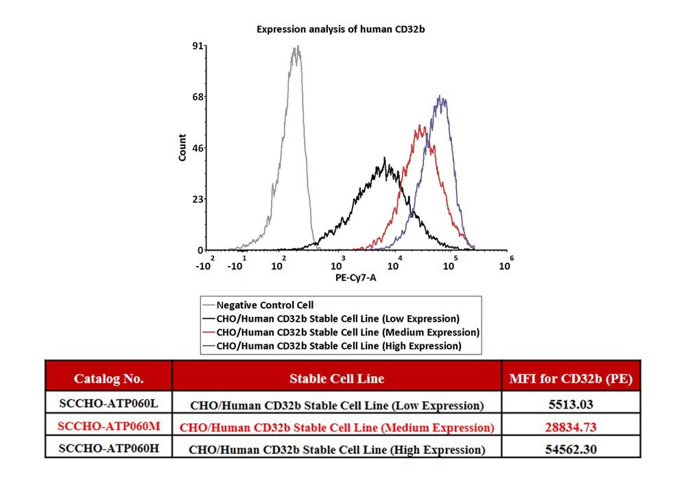 4-1BB & CD32b FACS