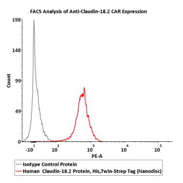 Claudin-18.2 FACS