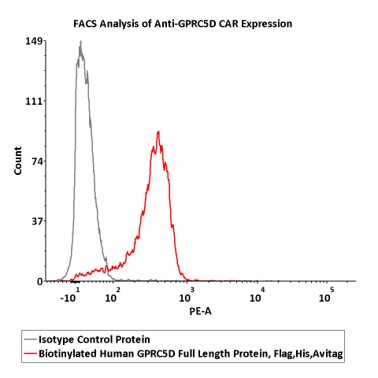 GPRC5D FACS