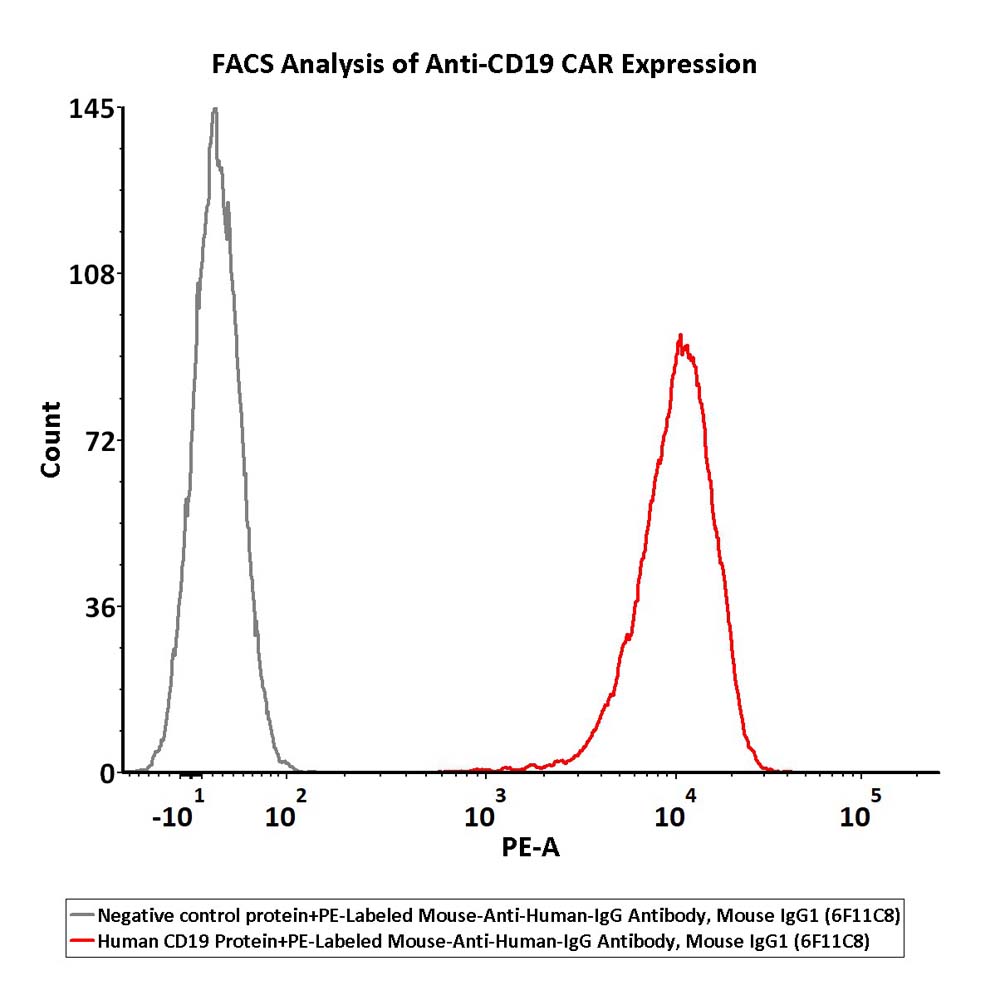 IgG FACS