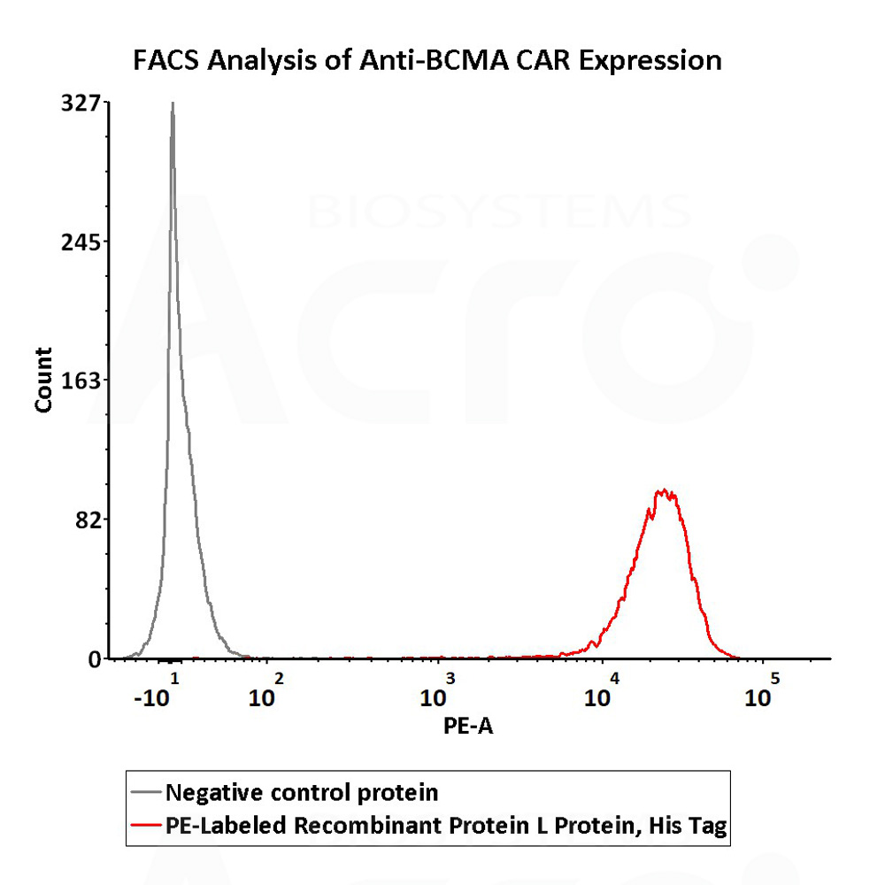 Protein L FACS