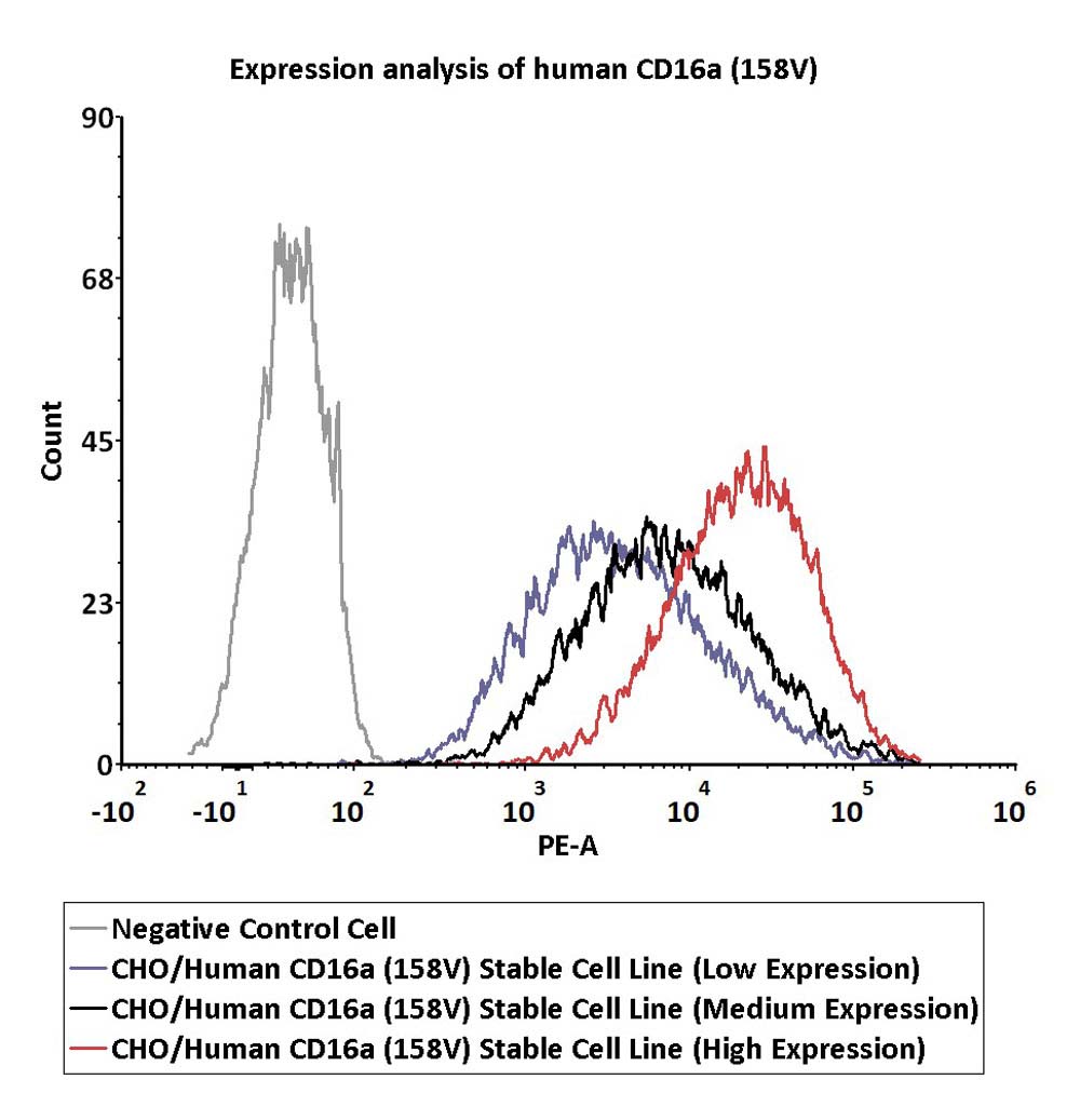 Fc gamma RIIIA / CD16a FACS