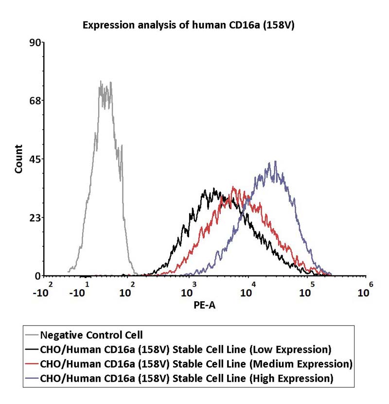 Fc gamma RIIIA / CD16a FACS