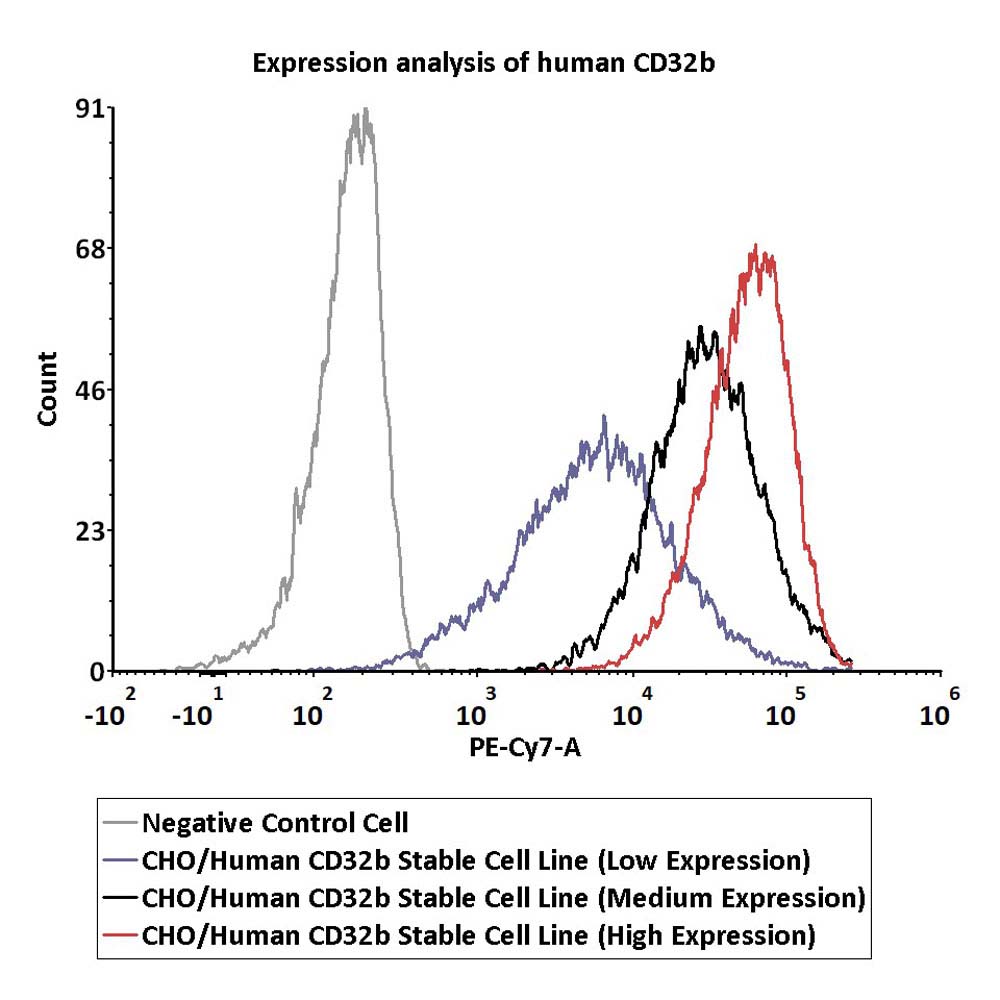 Fc gamma RIIB / CD32b FACS