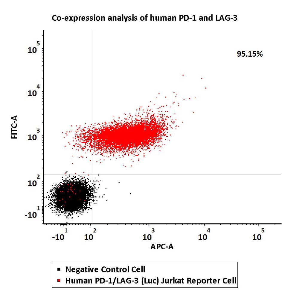 PD-1/LAG-3 FACS