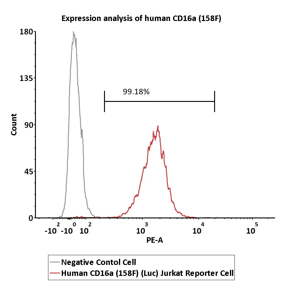 Fc gamma RIIIA / CD16a FACS