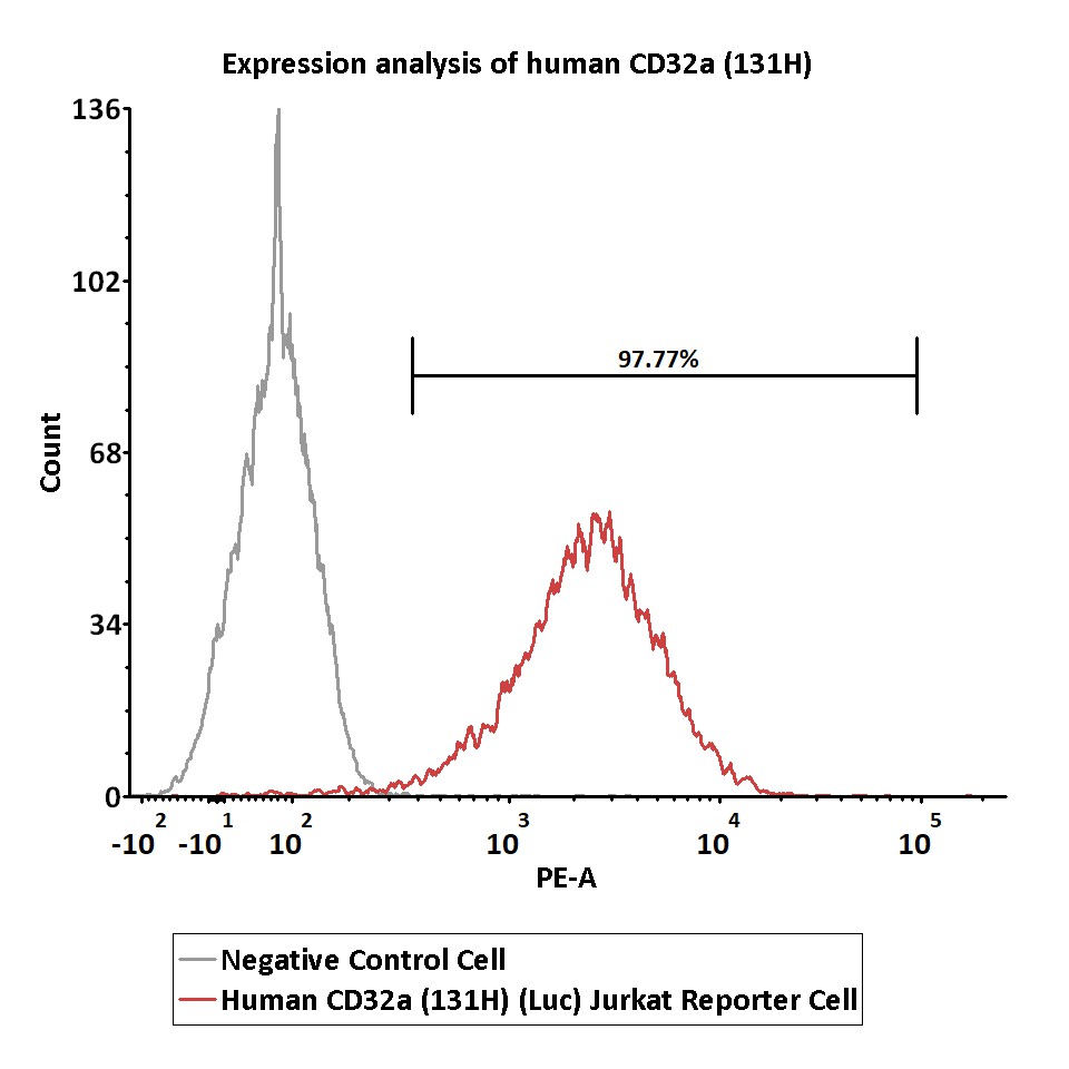 Fc gamma RIIA / CD32a FACS