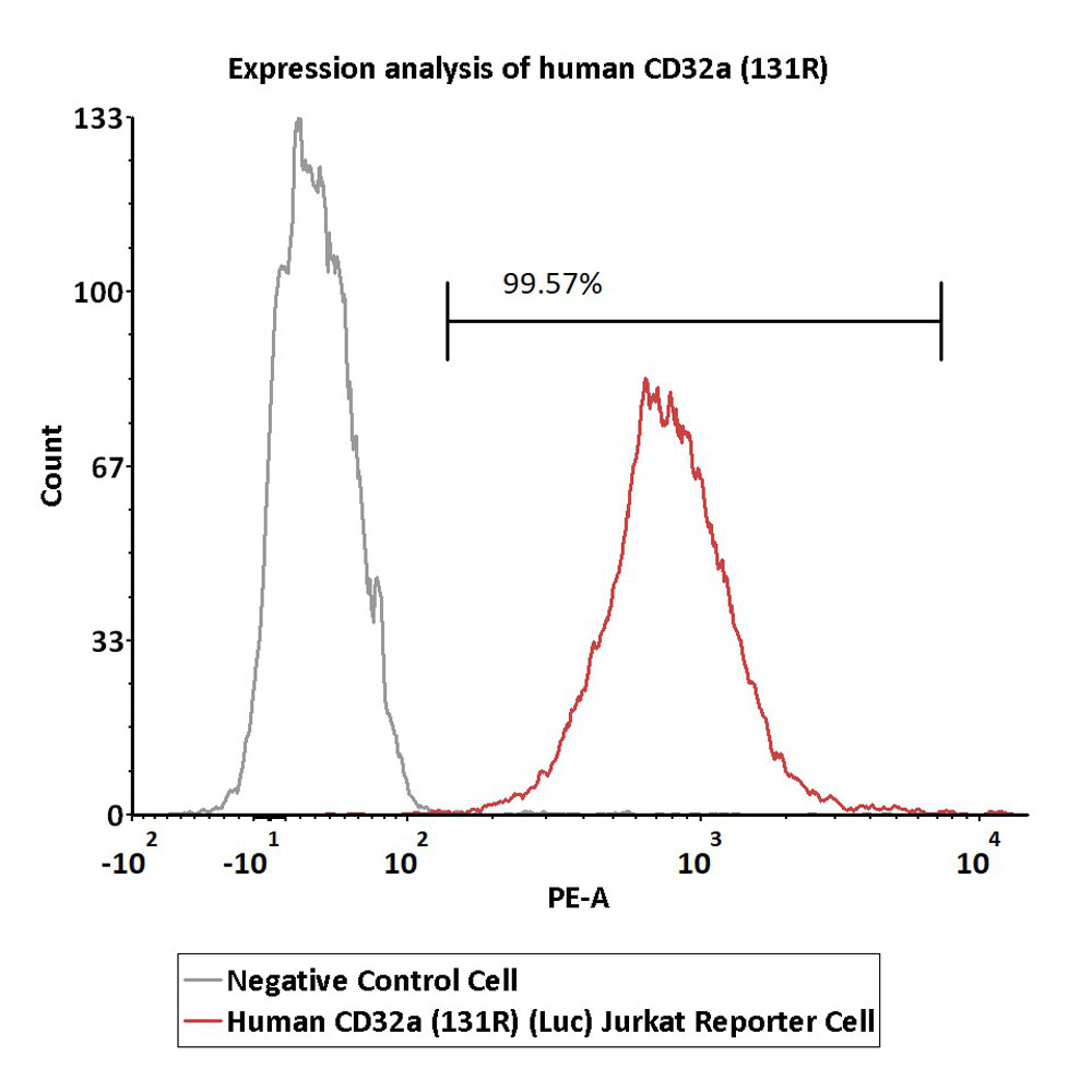 Fc gamma RIIA / CD32a FACS