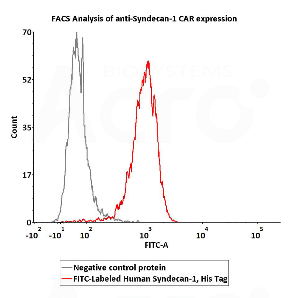 Syndecan-1 FACS