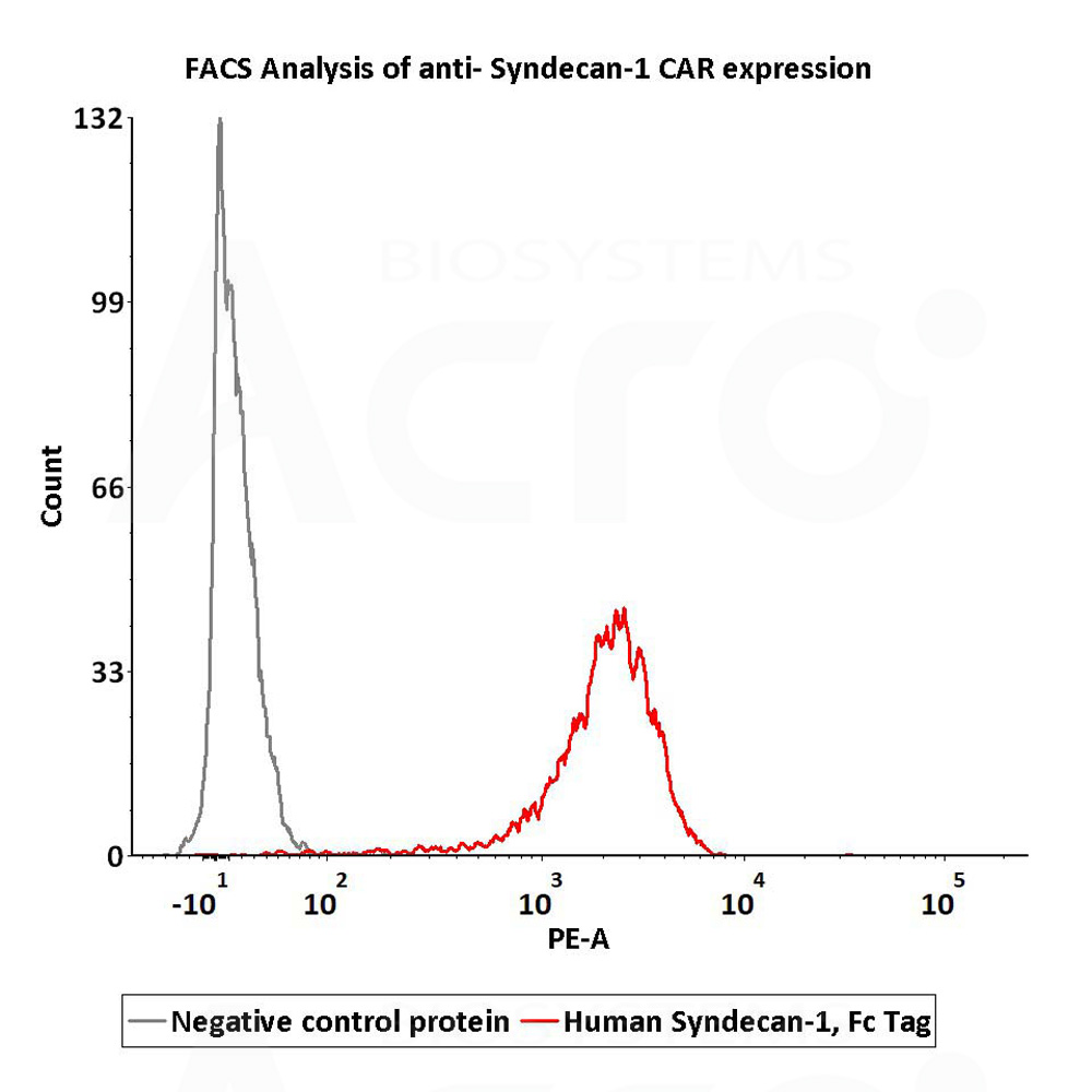 Syndecan-1 FACS