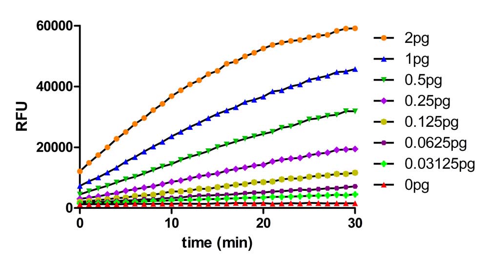 RNase A FLUORESCENCE