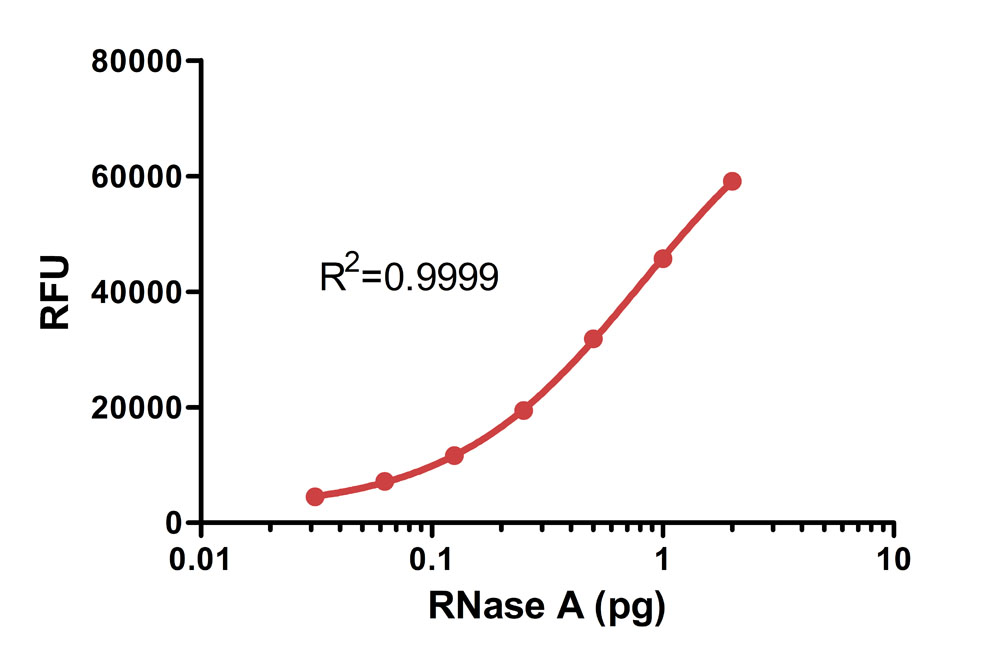 RNase A FLUORESCENCE