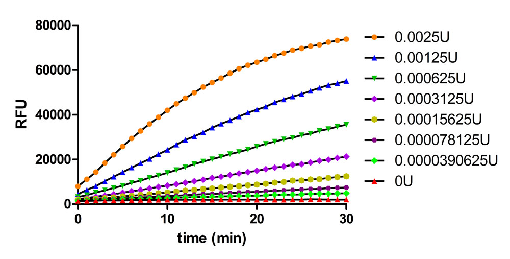 DNase I FLUORESCENCE