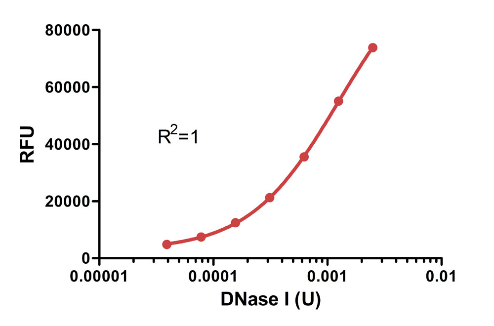 DNase I FLUORESCENCE