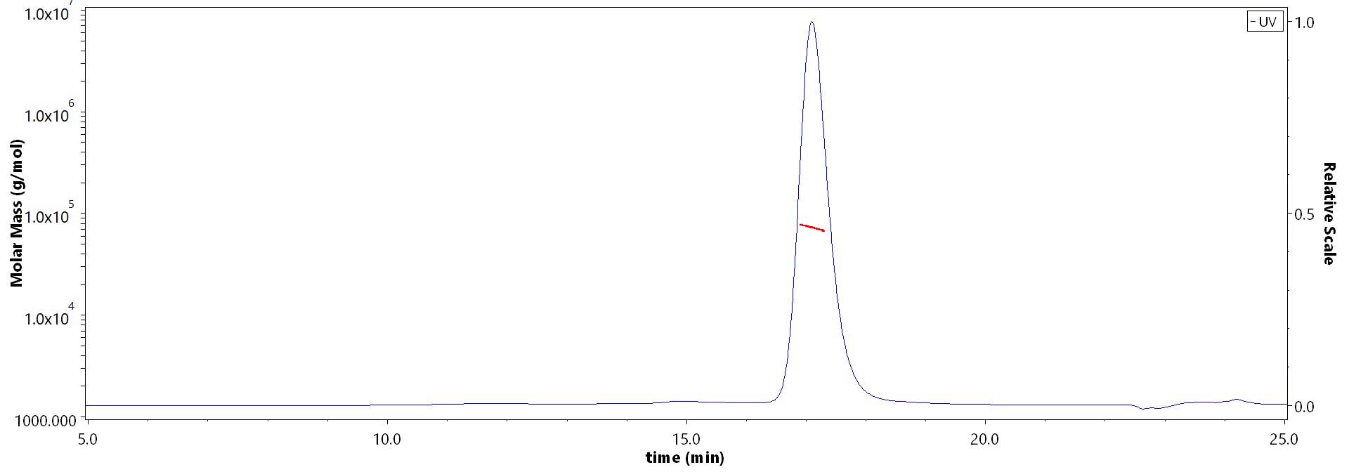 Serum Albumin SEC-MALS