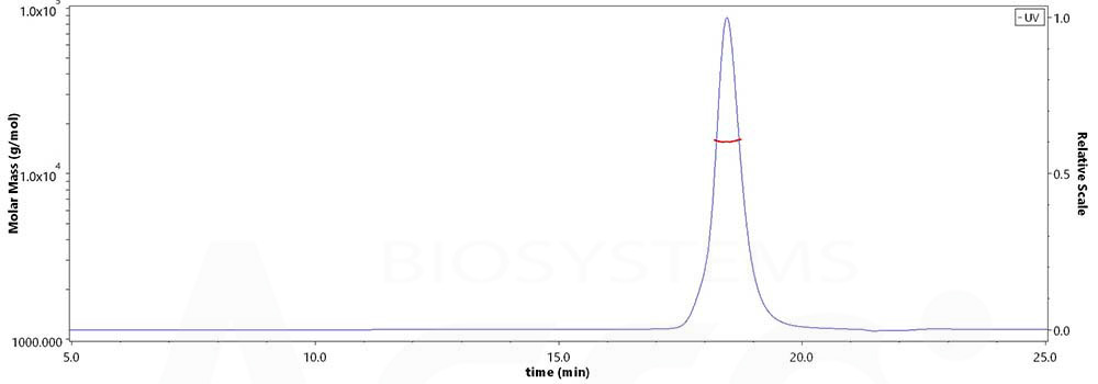 Nucleocapsid protein SEC-MALS