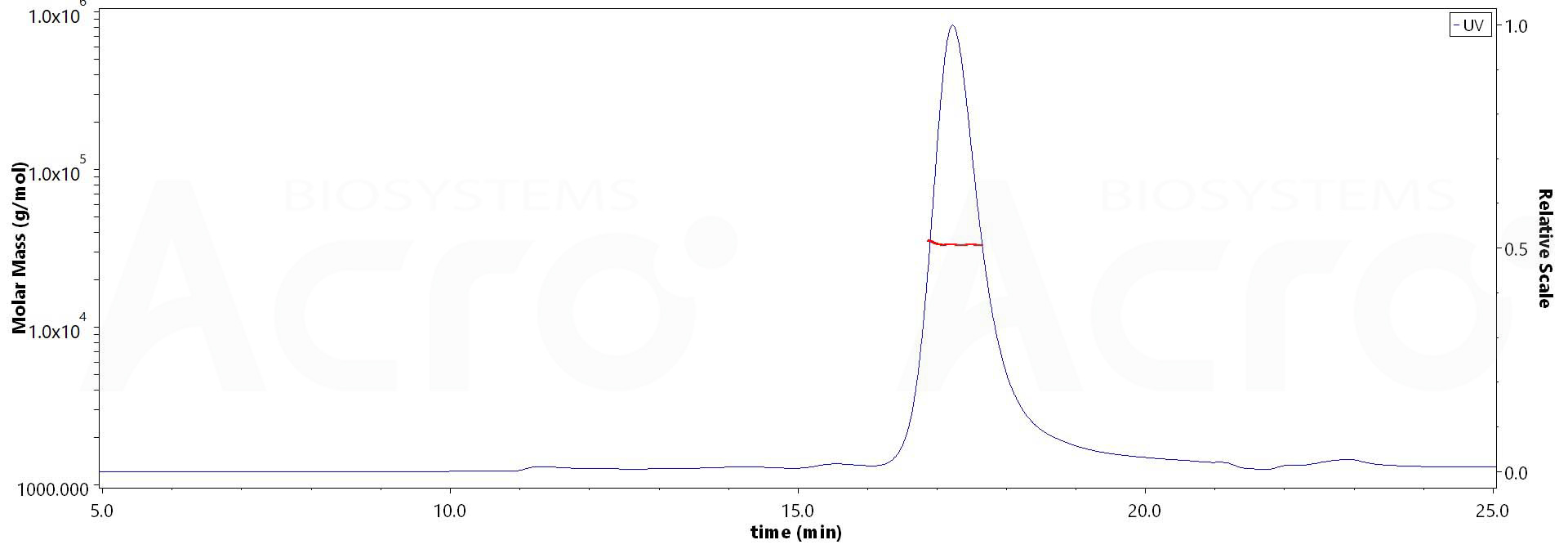 Nucleocapsid protein SEC-MALS