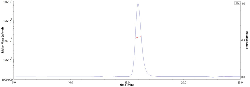 Prefusion glycoprotein F0/pre-F protein (RSV) SEC-MALS